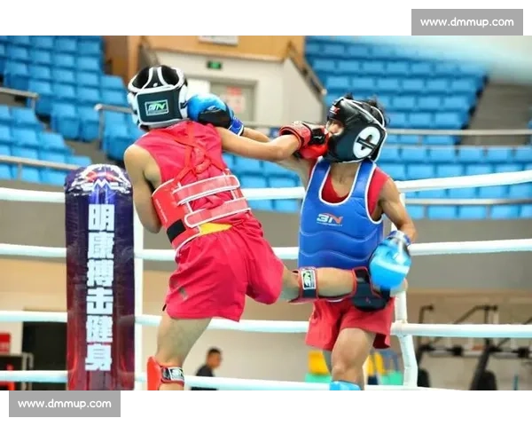 《以ONE比赛为核心探讨全球搏击赛事的发展趋势与未来》